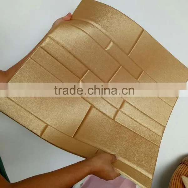 2016 New Business 3D Leather Panel Wall Covering Idea (Tommy) photo-2