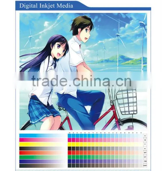 Anti-skid Eco-solvent Front Printing Backlit Film/inkjet Media/PP Paper Matte/inkjet Advertisement photo-2