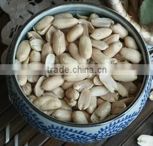 Canned Roasted and Salt Peanut