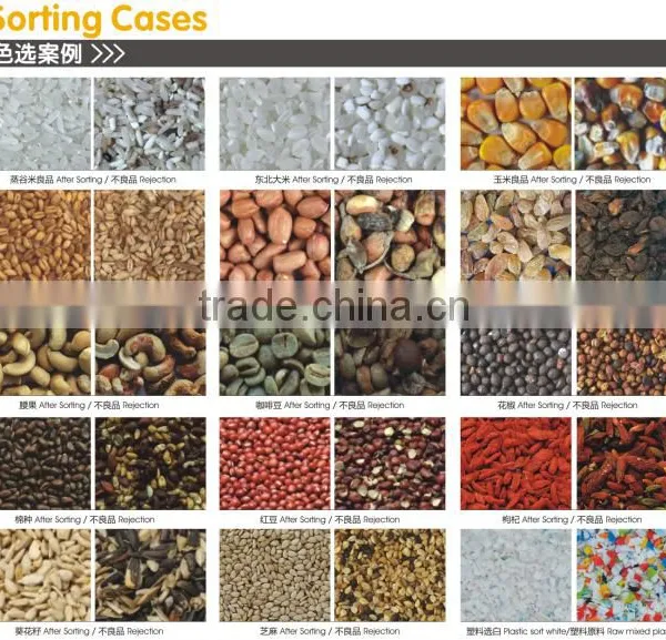 CE/SGS Certificate Ccd Sensor Black Sesame Color Sorter Sesame Sorting Machine photo-5
