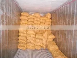 Fresh Ginger photo-5