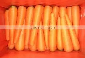 Fresh Carrot 2016 Crop photo-6