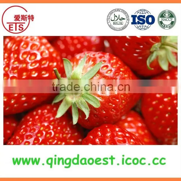 For Sale Chinese High Quality Whole Fresh Strawberry photo-5