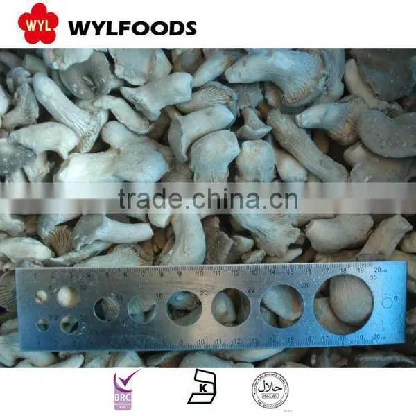 Hot Sale Grade A Iqf Frozen Oyster With High Quality photo-5