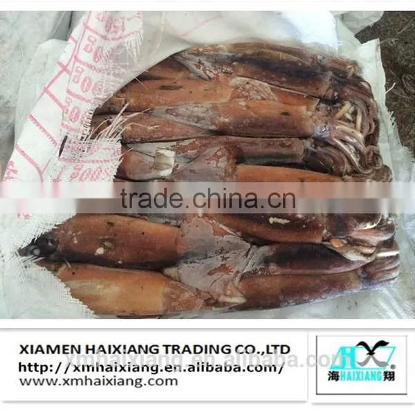 Frozen Fish Bait-squid Price photo-3