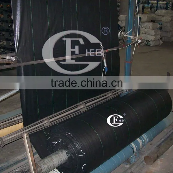PP Fabric Roll/pp Woven Fabric