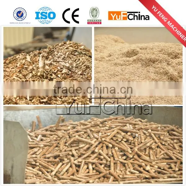 Famous Brand Biomass Pellet Mill for Southeast Asia Market photo-4