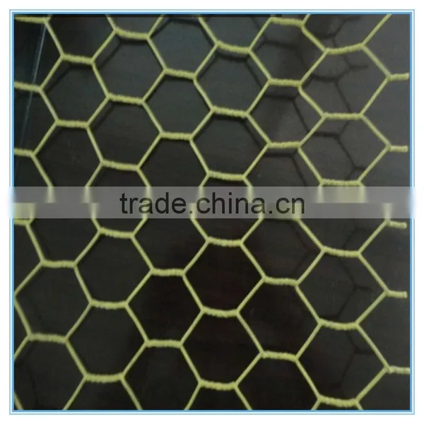 China Cheap Hexagonal Wire Netting/ Fence Netten Mesh/ Animal Catching Netsing photo-2