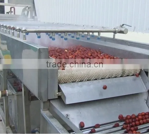 Fruit Vegetable Orange Lemon Brush Roller Washing Machine Washer photo-3
