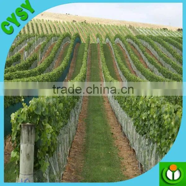 Wholesale HDPE Plastic Bird Net / Bird Trapping Net /plastic Tree Protection Mesh photo-4