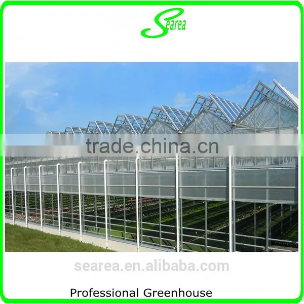 Hot Sale Tropical Greenhouse photo-4