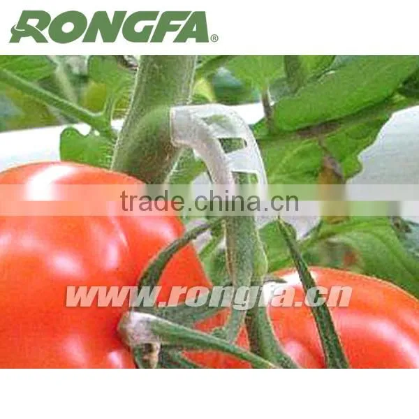 Graft Clips / Plastic Tomato Clip