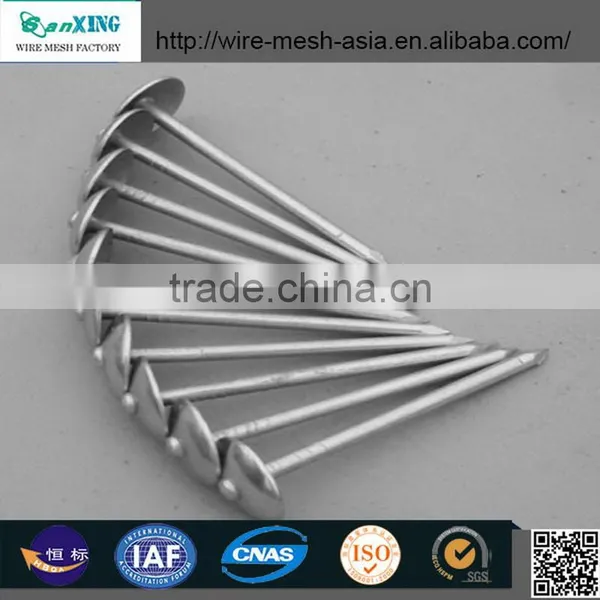 China Anping Sanxing 2.5" Umbrella Roofing Nail photo-3