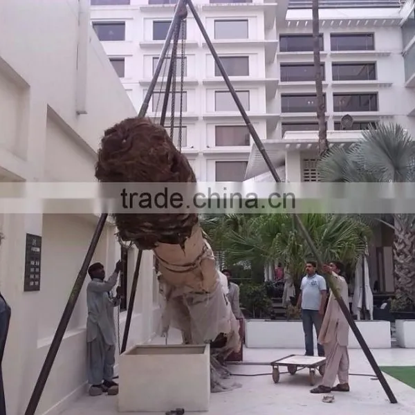 Outdoor Use Artificial Huge Middle East Palm Tree photo-4
