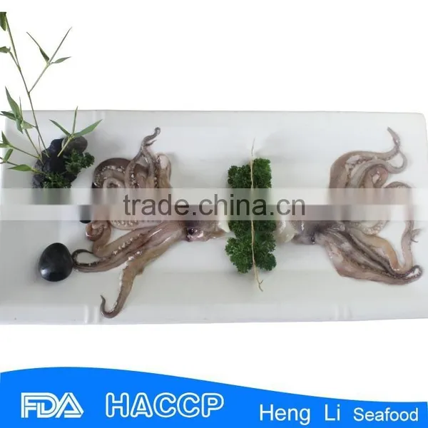 HL0088 Raw Frozen Tentacles in Cartons photo-2