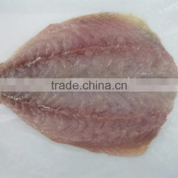 Horse Mackerel photo-2