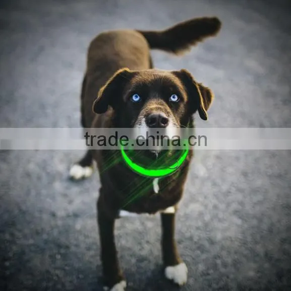 Wholesale Flashing LED Nylon Dog Collar Factory Directly photo-2