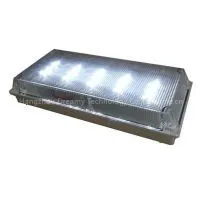 IP65 Waterproof Emergency LED Light