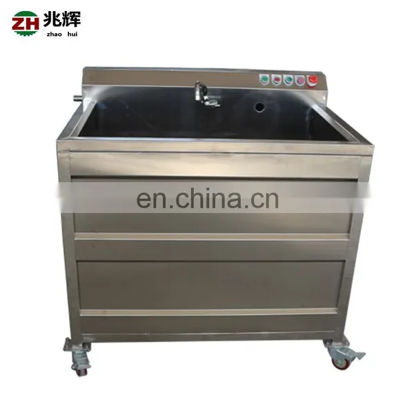 Commercial Automatic Air Bubble Fruit Washing Machine for Sale photo-5