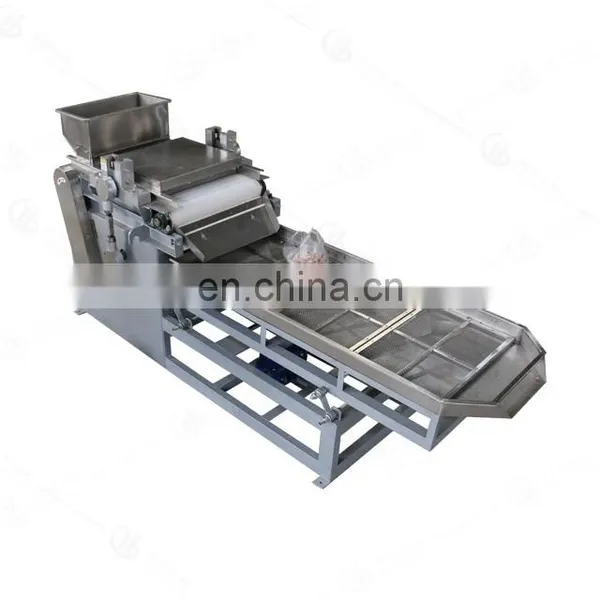Cashew/macadamia/peanut/almond/walnut Processing Machine,nut Dicer, Nutlet/pip Dicing Machine photo-2
