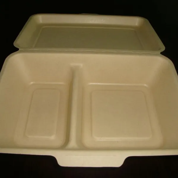 1000ml Double Grid Lunch Box 9 * 6 Degradable Environmental Protection Lunch Box Take Out Pulp Bagasse Lunch Box Disposable Lunch Box Single Double Grid Salad Box photo-4