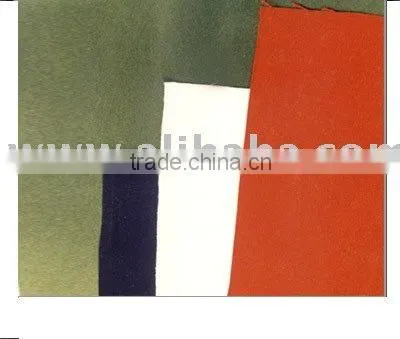 Canvas Cloth