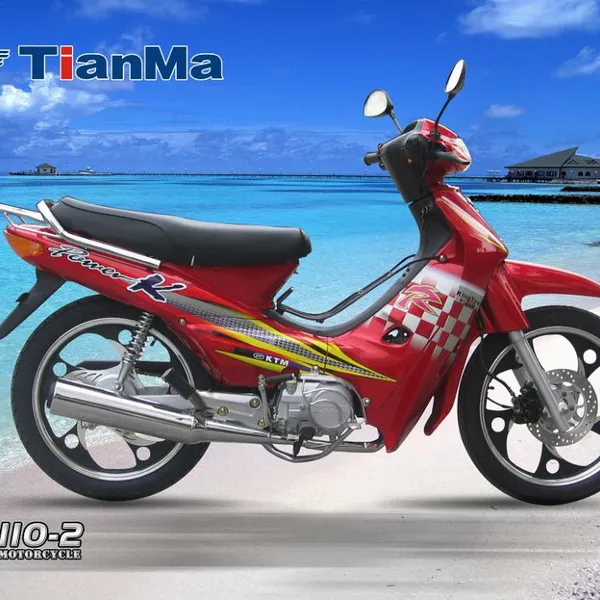 KTM TM110-2