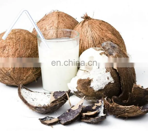 Coconut Water Processing Machine/coconut Juice Machine/coconut Milk Press photo-4