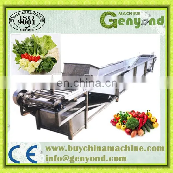 Pumpkin Production Line Machine/green Beans Frozen Processing Line/vegetable Freezing Equipment photo-2