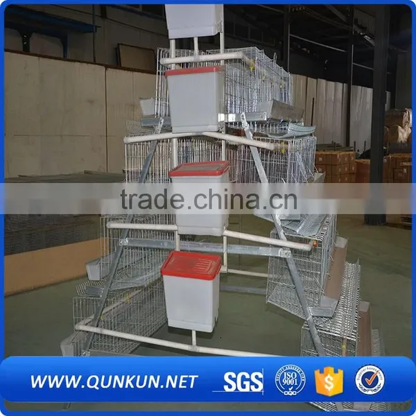 Egg Production Project Poultry Farming Equipment H Type Design Layer Chicken Cage for Sale photo-4