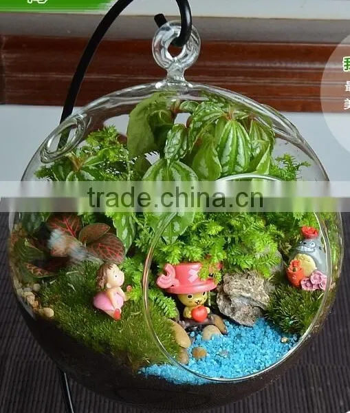 Yasit Different Types Glass Vase/ Glass Terrarium,clear Glass Festivals Decoration,clear Glass Vase photo-5