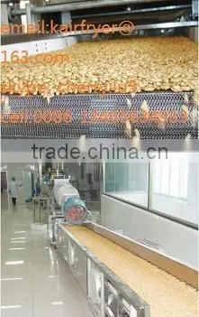Oil Curtain Fry Machinary/fried Peanut Making Machine photo-5