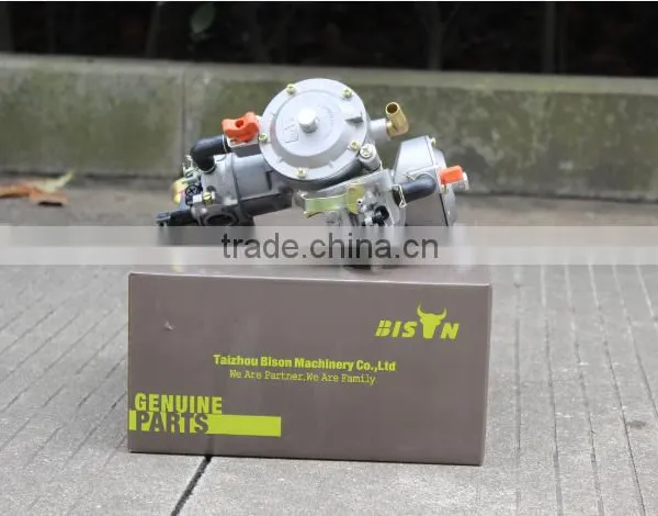 BISON(CHINA) Biogas, LPG, Natural Gas Conversion Kit photo-2