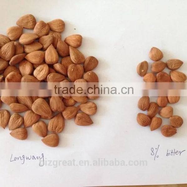 Supply With Chinese Bulk Sweet Apricot Kernels With 8% Bitter Taste With Good Quality for Sales photo-6