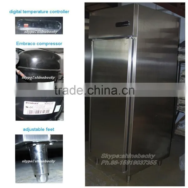 Upright Commercial Fridge and Freezer Stainless Steel Freezer