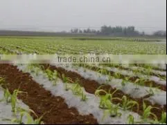 PE Mulch Film