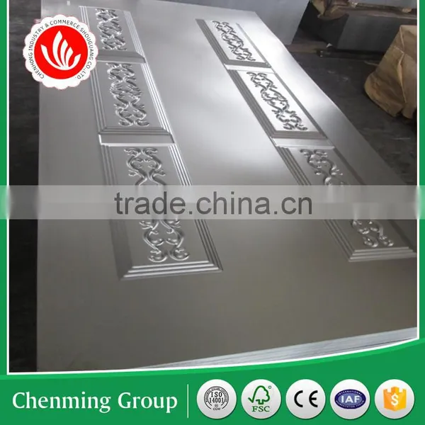 Stainless Steel Door Skin