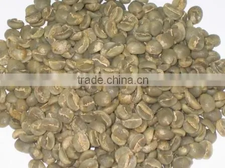 Arabica Coffee Bean