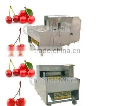 2016 Industrial Hot-sale Plum Stoner Processing Machine photo-6