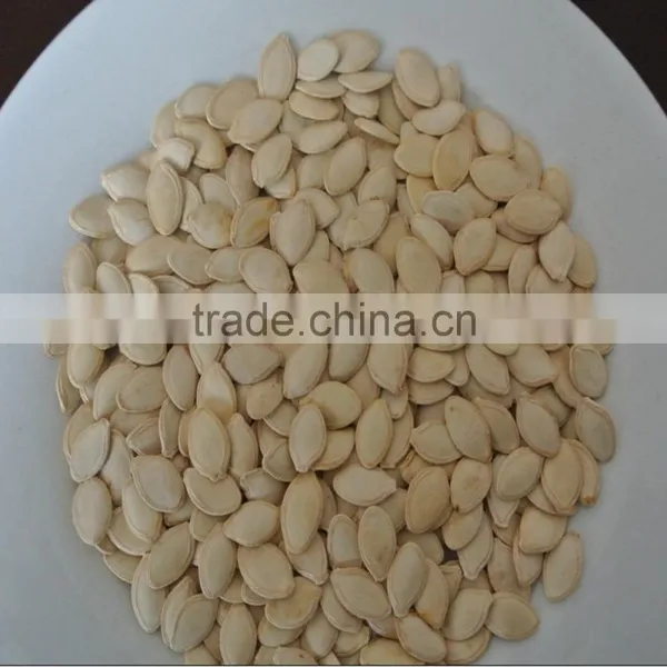 Shine Skin Pumpkin Seeds 8-9cm, 9-10cm, 10up photo-2