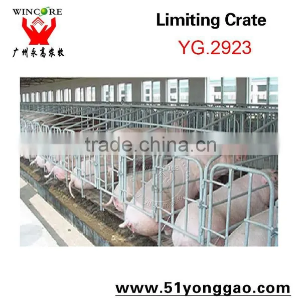 2.0mm Galvanized Pipe Pig Limit Crate Swine Gestation Cage for Pig Farm Equipment photo-3