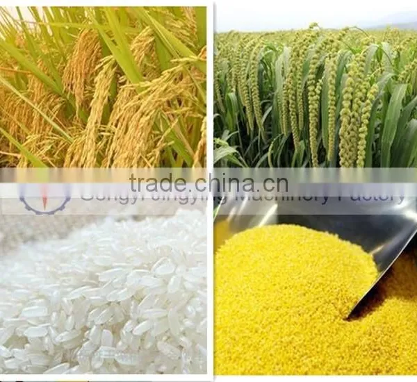 Complete Rice Husk Removing Processing Milling Machine photo-2
