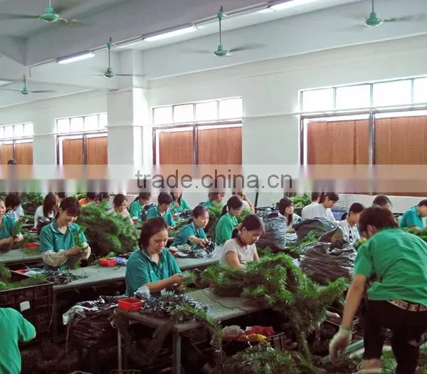 Greenhouse Farm for Sale 7090 Evaporative Cooler Pad Malaysia photo-4