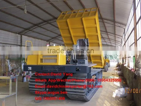 MST 1500 Crawler Dumper for Sale Made in China photo-4