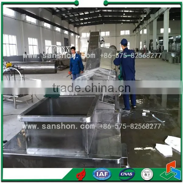 China Factory Price Fruit Blanching Machine photo-3