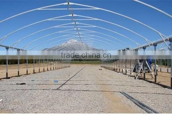Aquaponis Growing System Greenhouse photo-5