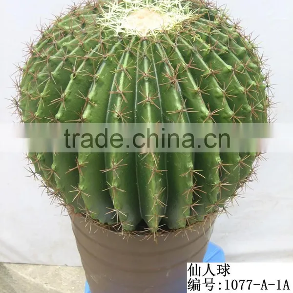 Artificial Outdoor and Indoor Cactus Tree and Plants for Decoration photo-4