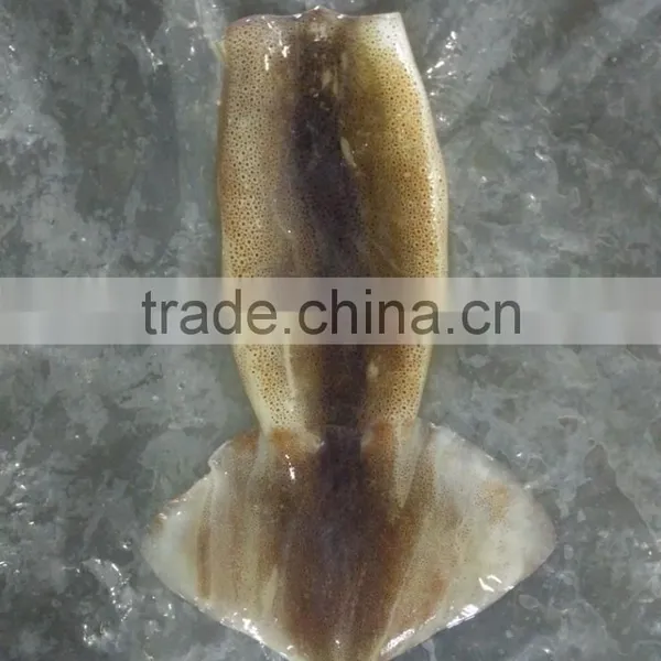 Zhengyuan Frozen Illex Squid Tube photo-6