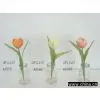 Vase Flowers