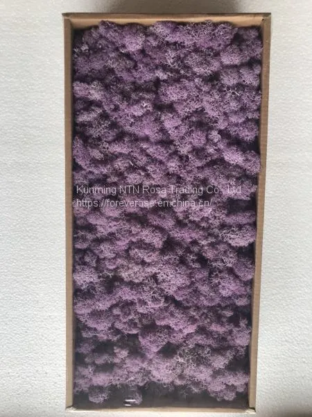 Stabilized Moss for Floral Decoration in Catering Business
